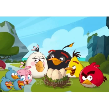 Вафельна картинка Angry Birds/Злі пташки 7